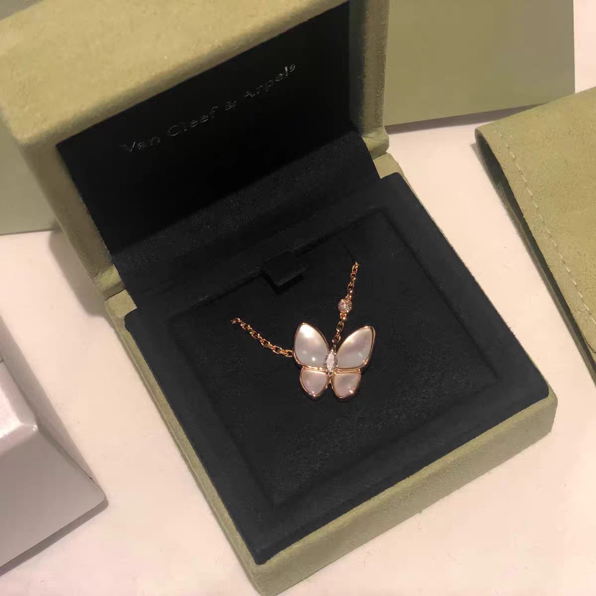 Iridescent Butterfly Shell Necklace