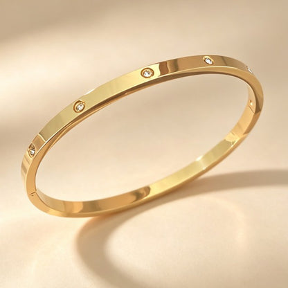 Ten-Gem Pavé Titanium Bangle